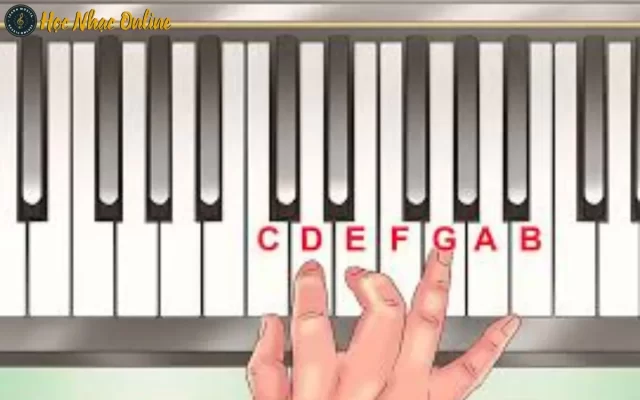 Các Hợp Âm Piano Cơ Bản